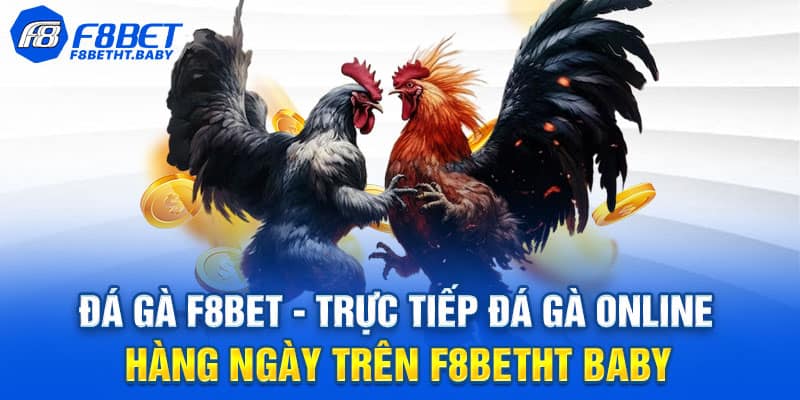 Tính năng và ưu điểm vượt trội chỉ có tại nền tảng đá gà F8bet