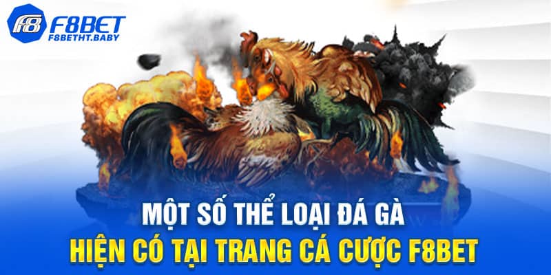 Các thể loại đá gà được trực tiếp tại F8bet hiện nay